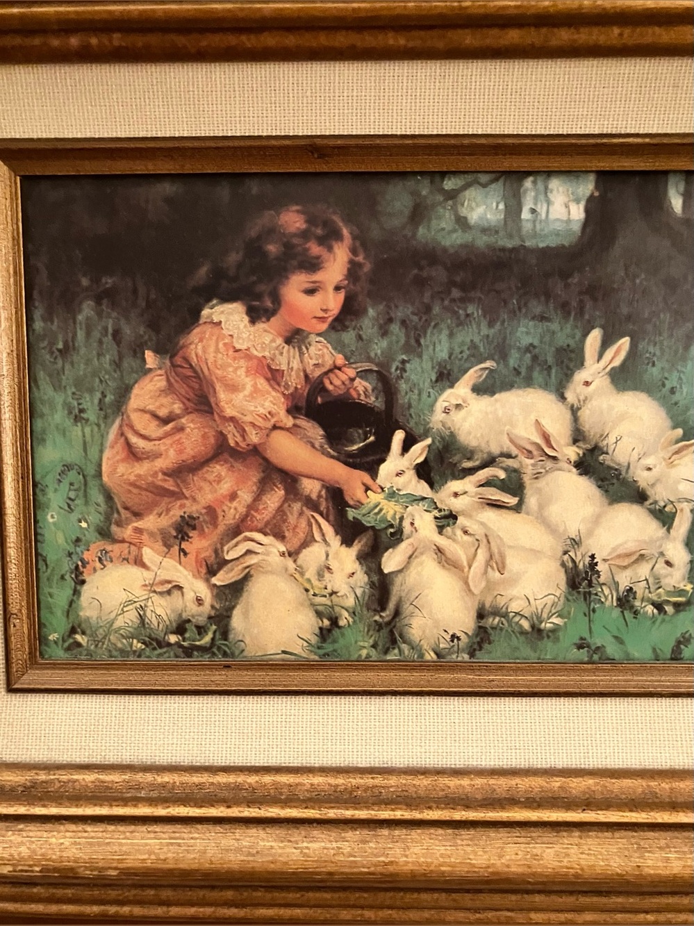Framed art print